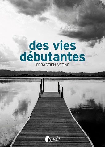 Sébastien Verne, Des vies débutantes
