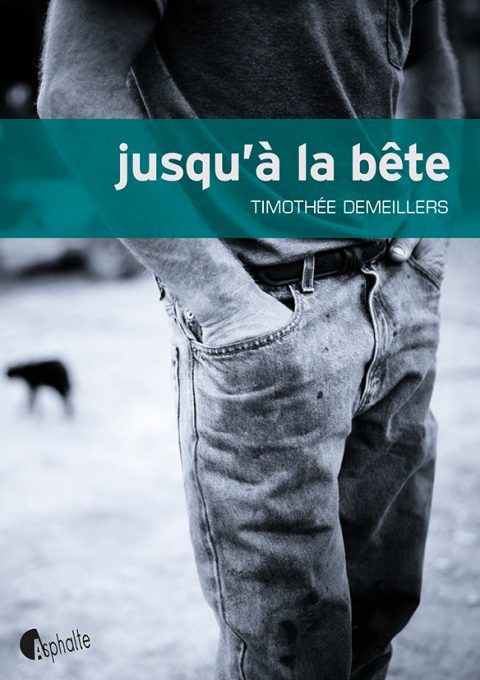 Timothée Demeillers, Jusqu’à la bête